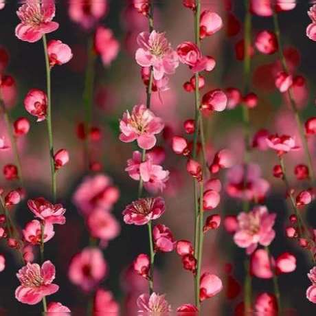 دانلود آهنگ جدید ای گل رویایی ای مظهر زیبایی