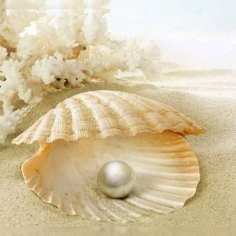 دانلود آهنگ مروارید دور گردنت خودم دیدم میبندی