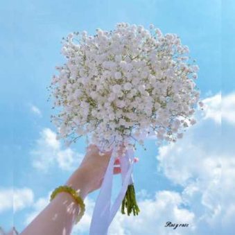 دانلود آهنگ سلام گل به تو ای گل نشونم