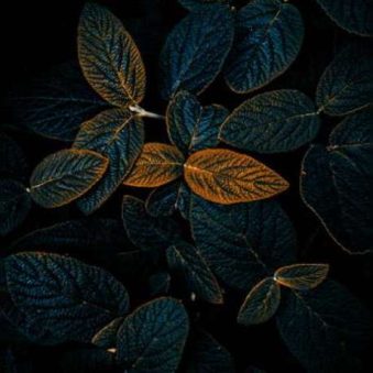 دانلود آهنگ شروع اشناییمون بود اتفاقی