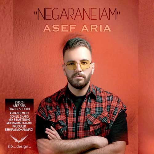 دانلود آهنگ نگرانتم آصف آریا