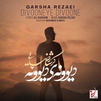 دانلود اهنگ دیوونه ی دیوونه گرشا رضایی دانلود اهنگ دیوونه ی دیوونه گرشا رضایی