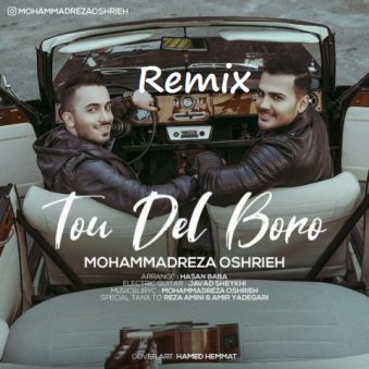دانلود ریمیکس آهنگ تو دل برو محمد رضا عشریه دانلود ریمیکس آهنگ تو دل برو محمد رضا عشریه
