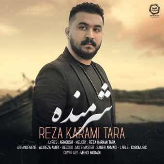 دانلود آهنگ رضا کرمی تارا شرمنده دانلود آهنگ رضا کرمی تارا شرمنده