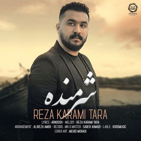دانلود آهنگ رضا کرمی تارا شرمنده