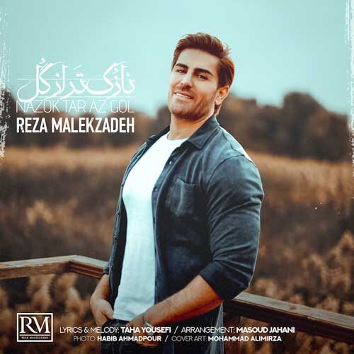 دانلود آهنگ رضا ملک زاده نازک تر از گل