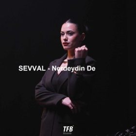 دانلود آهنگ ŞEVVAL Nerdeydin De