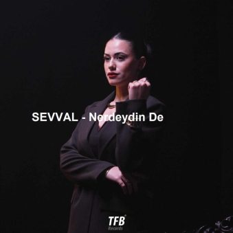 دانلود آهنگ جدید ŞEVVAL Nerdeydin De