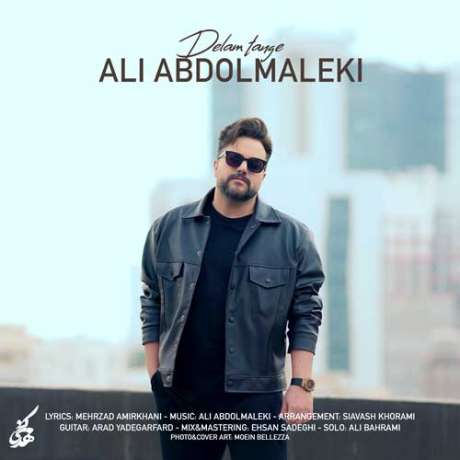 دانلود آهنگ جدید علی عبدالمالکی دلم تنگه دانلود آهنگ جدید علی عبدالمالکی دلم تنگه