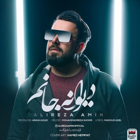 دانلود اهنگ دیوانه جانم علیرضا امین