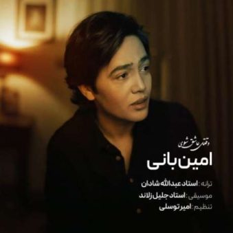 دانلود آهنگ جدید امین بانی وقتی عاشق شوی