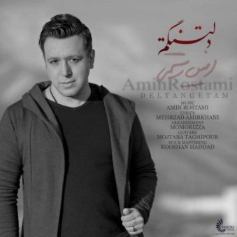 دانلود اهنگ دلتنگتم امین رستمی دانلود اهنگ دلتنگتم امین رستمی