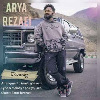 دانلود آهنگ جدید آریا رضایی دیوونگی