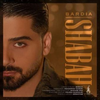 دانلود آهنگ جدید بردیا بهادر شبح دانلود آهنگ جدید بردیا بهادر شبح