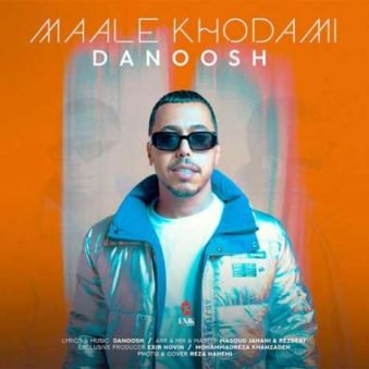 دانلود آهنگ جدید دانوش مال خودمی
