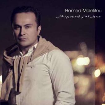 دانلود آهنگ جدید حامد ملک لو میدونی که بی تو میمیرم نباشی