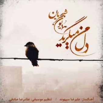 دانلود آهنگ همایون شجریان دلم میگرید دانلود آهنگ همایون شجریان دلم میگرید