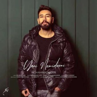 دانلود آهنگ یعنی نمیدونی محمد لطفی دانلود آهنگ یعنی نمیدونی محمد لطفی