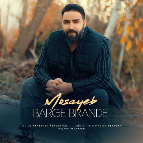 دانلود آهنگ جدید مصیب برگ برنده