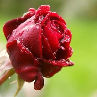 دانلود آهنگ جدید آیدا ایستگاه آخر