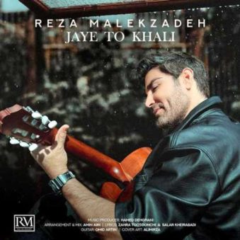 دانلود آهنگ جدید رضا ملک زاده جای تو خالی