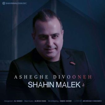 دانلود آهنگ جدید شاهین ملک عاشق دیوونه