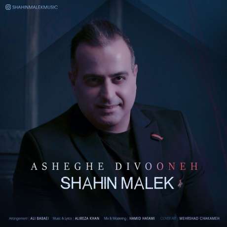 دانلود آهنگ جدید شاهین ملک عاشق دیوونه