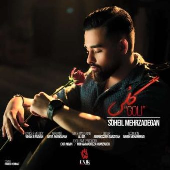 دانلود آهنگ جدید سهیل مهرزادگان گلی دانلود آهنگ جدید سهیل مهرزادگان گلی