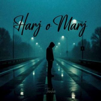 دانلود آهنگ جدید تنها هرج و مرج